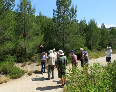 Visite GARA