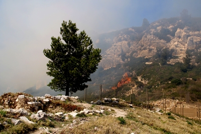 Feu 6 avril 2023