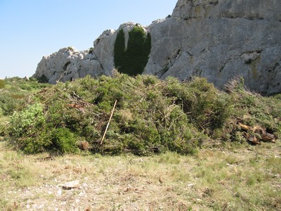 Les Caisses