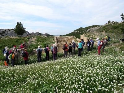 Visite SECABR 2024