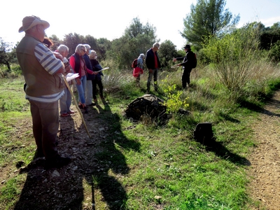 Aqueducs Alpilles 2020