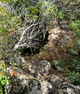 Vernègues le puech