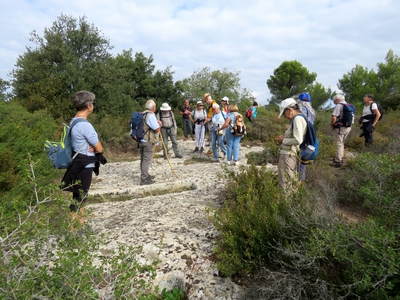 Vernègues le Puech