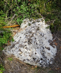 Vernègues le Puech