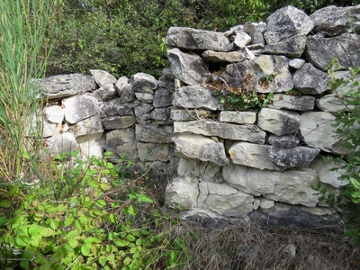 Le Pègue l'oppidum