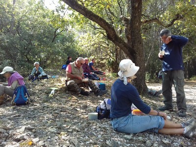 LAUDUN - CAMP DE CESAR