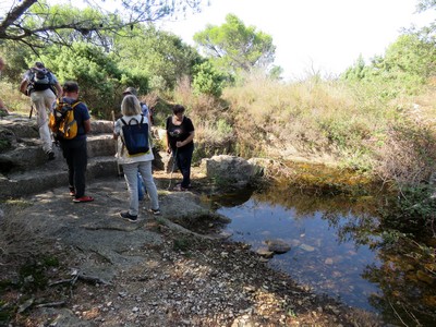 LAUDUN - CAMP DE CESAR