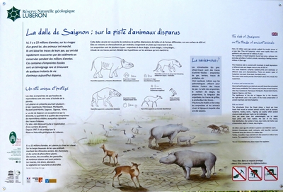 SAIGNON