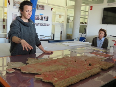 Visite Arles