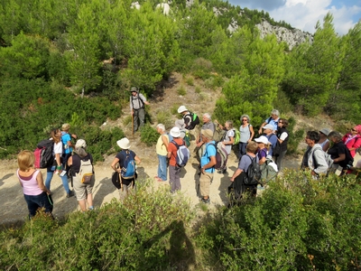 Balade Chemin Faisan