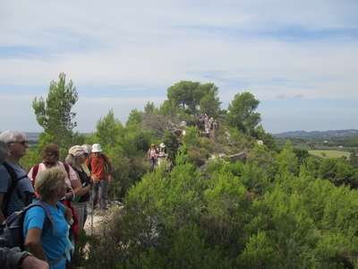 Balade Chemin Faisan