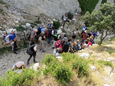 Balade Chemin Faisan