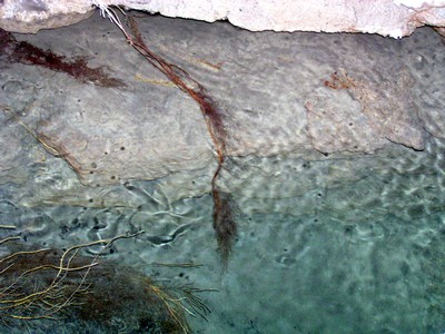 Foggara
