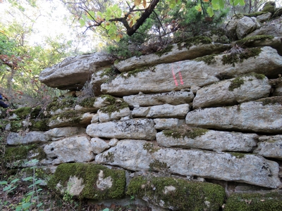 Malaucène
